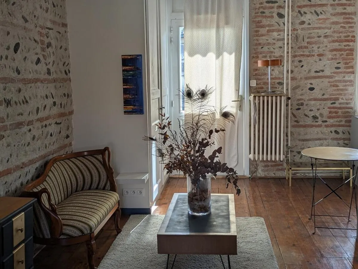 Charming 2-Bedroom, Near City Center Toulouse 0*,