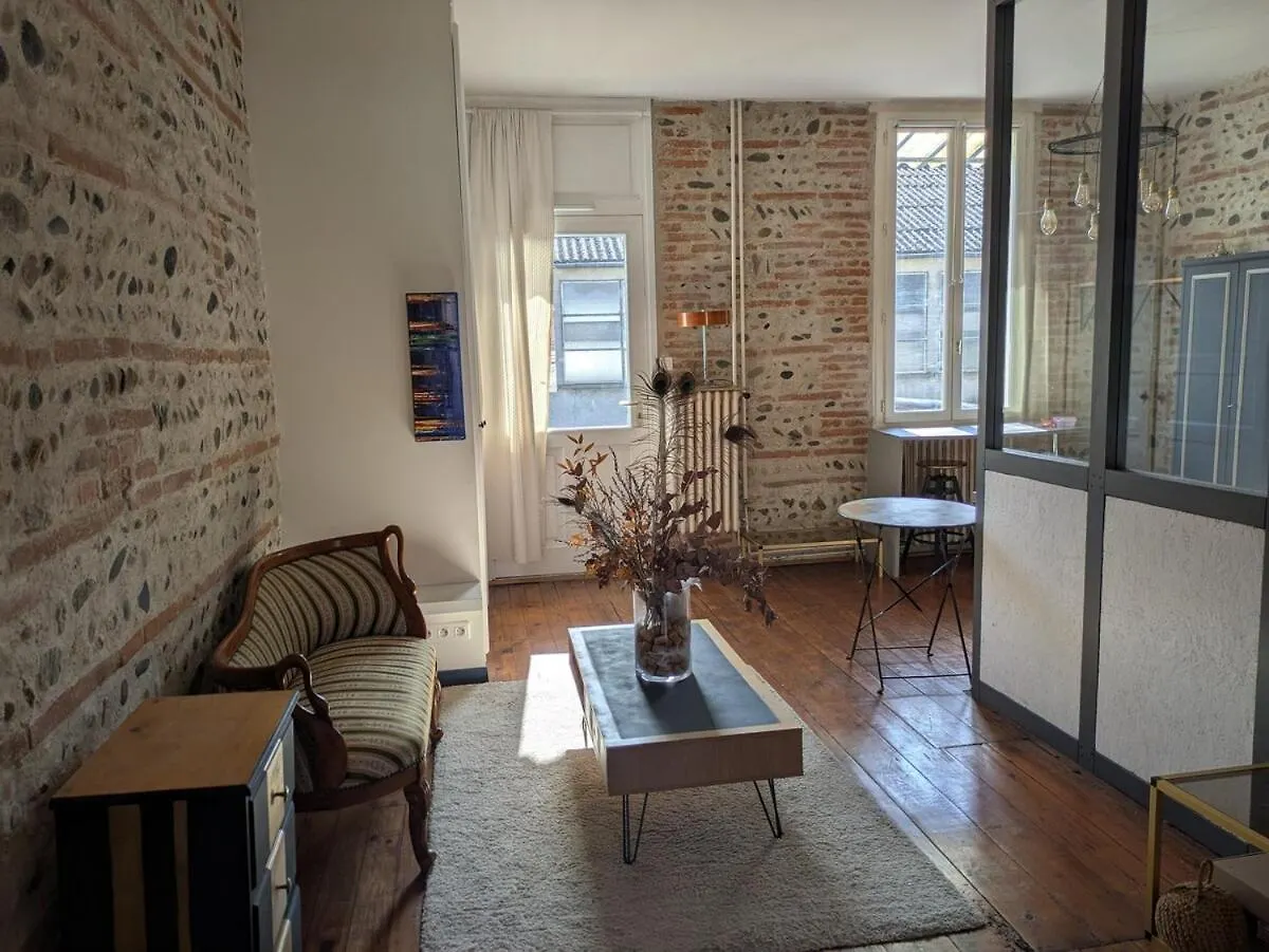 Charming 2-Bedroom, Near City Center Toulouse